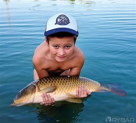 Rybár loviaci sivoňa potočného muškárením
