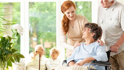 Starostlivosť o netýkavky