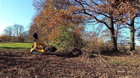 jesenná úprava monardy