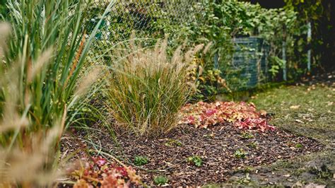 Záhon odolných trvaliek