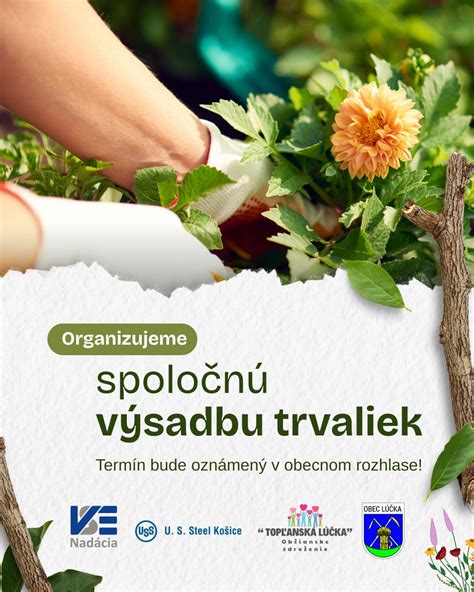 Ideálne obdobia pre výsadbu trvaliek