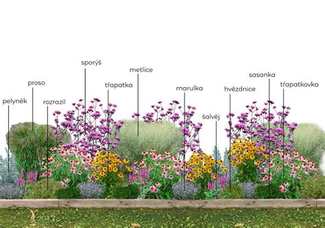 Starostlivosť o trvalkový záhon po výsadbe