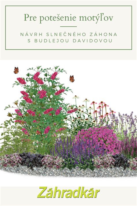 Záhon pre včely a motýle