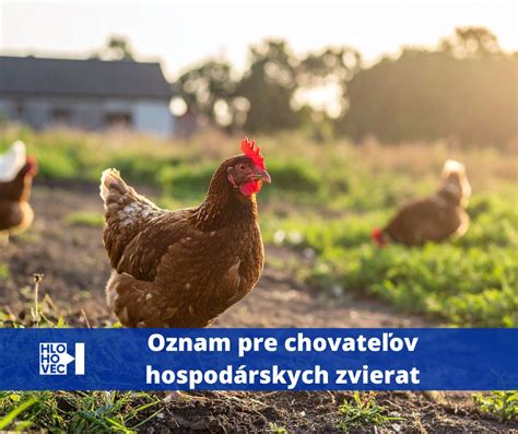 Zariadenia na chov úhora európskeho