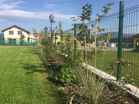 Záhradná scenéria s rakytníkom ako živým plotom