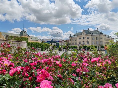 Panoramatický pohľad na Levice