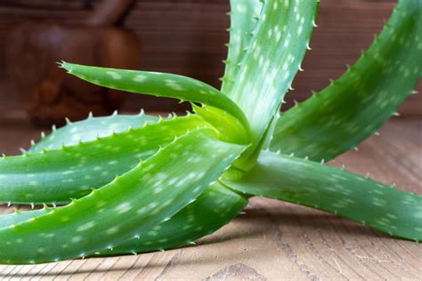 Graf porovnávajúci účinnosť Aloe Vera a placeba pri liečbe psoriázy