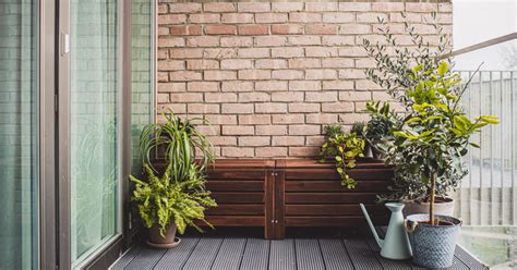 Rastliny na balkóne podľa svetovej strany