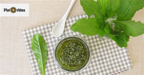 Pesto z púpavy v miske