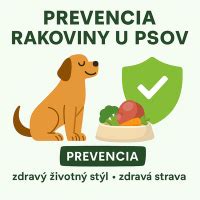 Bylinky na prevenciu rakoviny u psov
