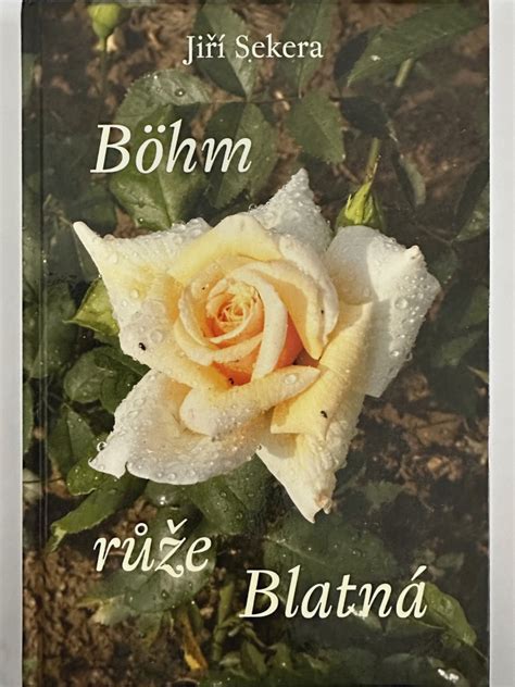 Jan Böhm a jeho ruže