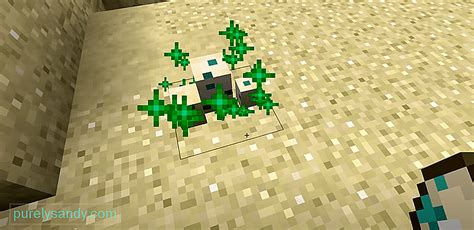 Korytnačie vajcia v Minecrafte