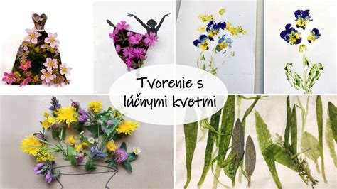 Tabuľka s populárnymi lúčnymi kvetmi a ich vlastnosťami