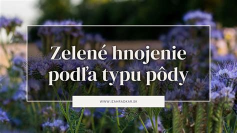 Prehľad výsadby byliniek podľa druhu