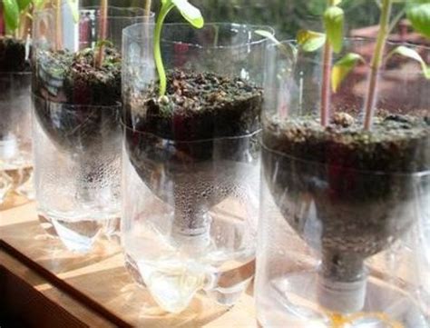 Mini skleník z PET fľaše na sadenice