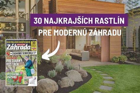 Príklady rastlín vhodných do modernej záhrady