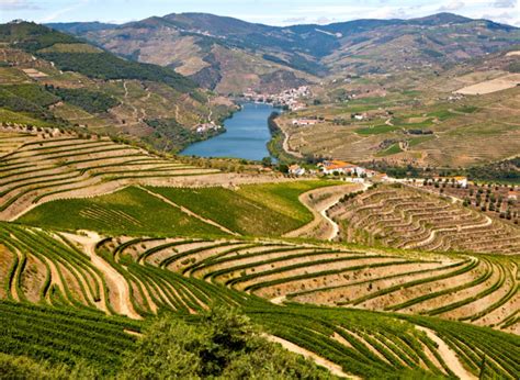 Panoramatický pohľad na terasovité vinice v údolí Douro