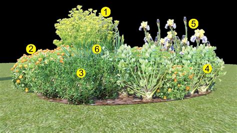 zeleninovo-okrasný záhon s liečivkami