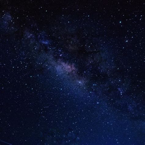Zalievanie petúnií 'Night Sky'