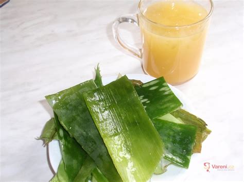 Recepty na domáce nápoje z aloe vera