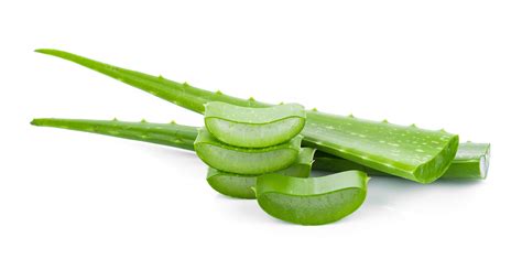 Aloe Vera a detoxikácia organizmu
