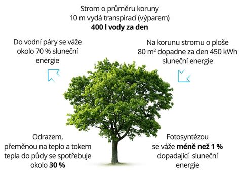Stromy a kyslík