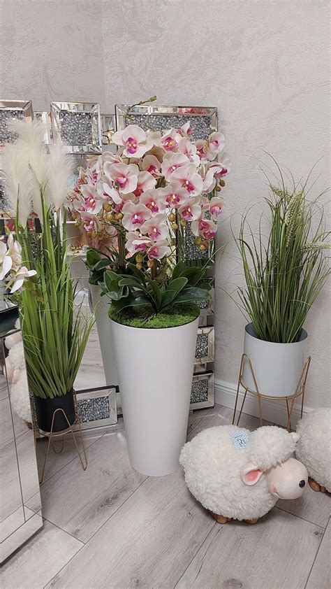 Interiér kvetinárstva Orchidea Gelnica