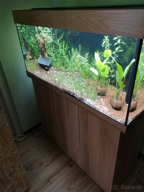 Zariadené akvárium pre mrenky
