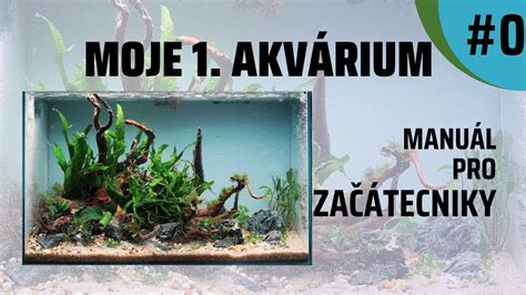 Akvárium s púštnou ružou ako dekoráciou