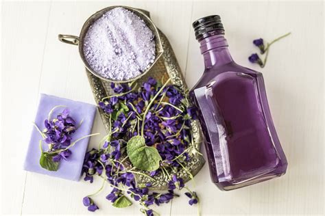 Produkty z fialky - sirup, tinktúra, olej