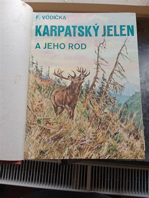 Rod Fikus a jeho rôznorodosť