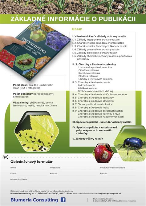 Tabuľka najčastejších chorôb a škodcov paradajok s prevenciou