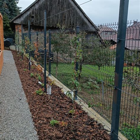 Záhrada s kompostovou kopou a rastlinami tekvice