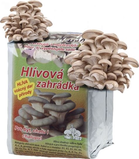 Naočkovaný substrát hlivy vo vrecku