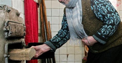 Drevené kláty pripravené na očkovanie