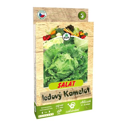 Výsev semien šalátu do semenných tácok