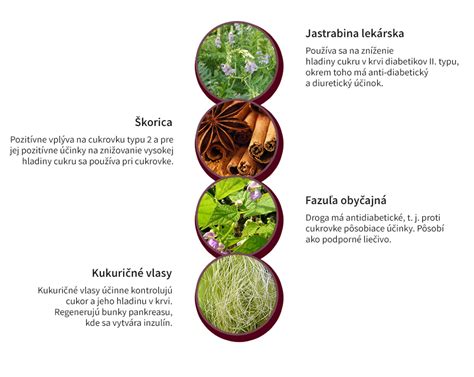 Infografika s prehľadom liečivých bylín a ich účinkov