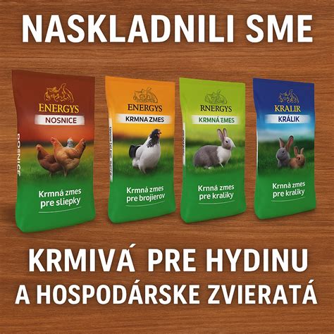 Ilustrácia rôznych druhov krmiva pre hlodavce