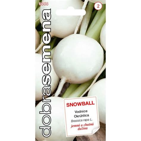 Biela guľovitá buľva okruhlice 'Snowball'
