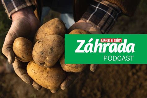 Schéma pestovania zemiakov vo veži z pneumatík