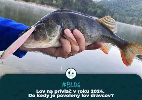 Gynogenetické rozmnožovanie rýb