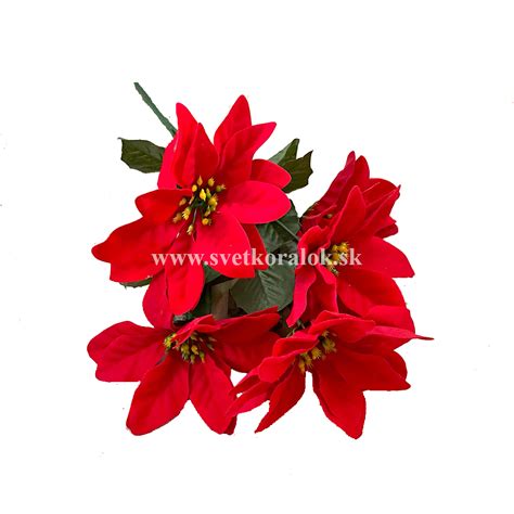 Rôzne druhy umelých vianočných kvetov