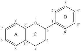 Chemická štruktúra flavonoidov