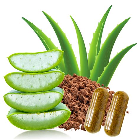 Aloe Vera a imunitný systém