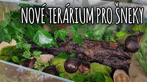 Terárium pre slimáky Achatina reticulata