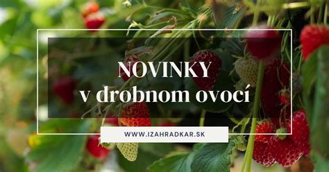 ilustrácia knihy o drobnom ovocí