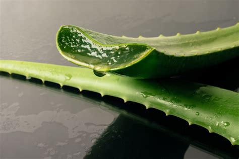 Tabuľka nutričných hodnôt Aloe Vera
