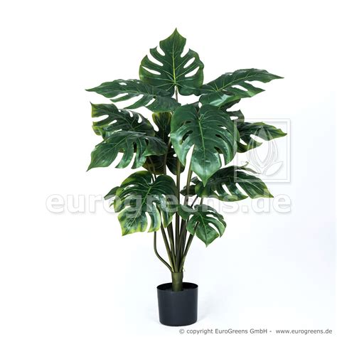 Umelá rastlina Monstera