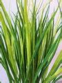 Umelá tráva Dracena