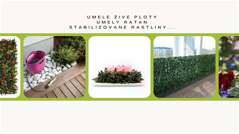 Porovnanie umelých a živých rastlín